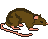 rat-65.gif