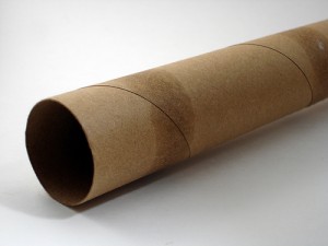 Paper-towel-roll.jpg