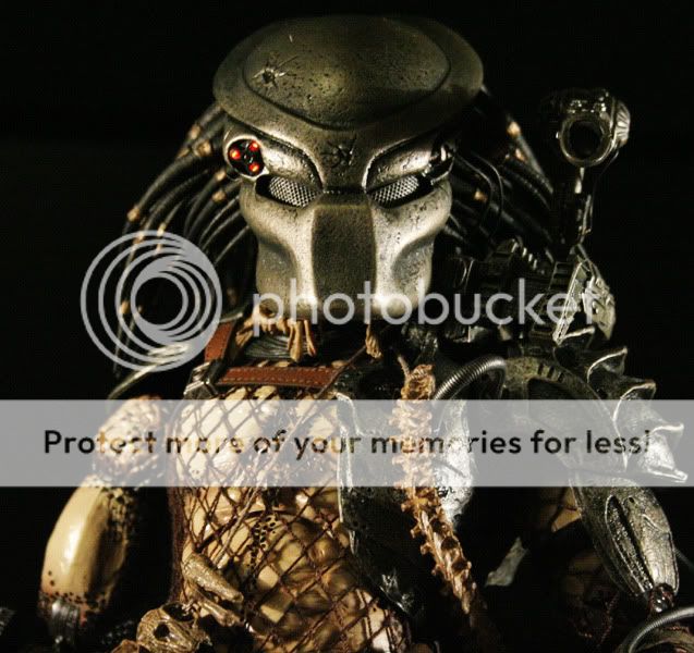 predator2.jpg