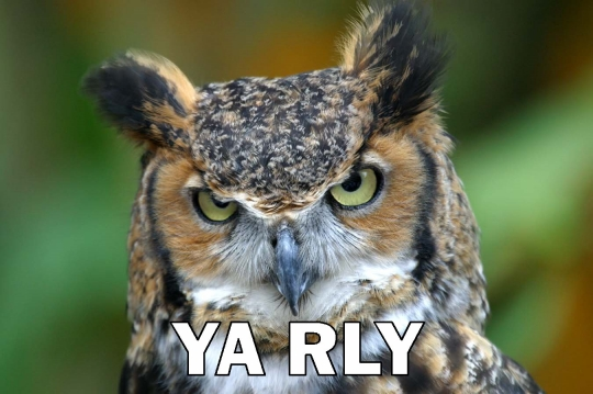 YaRlyOwl.png