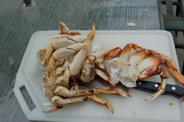 BodegaBayCrab112208029.jpg