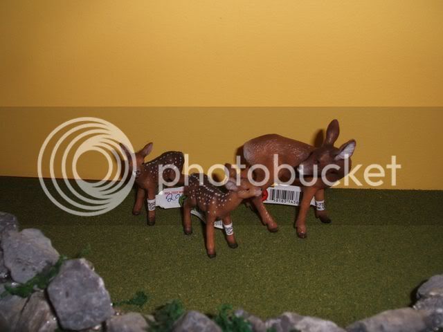 doeandfawns640x480.jpg