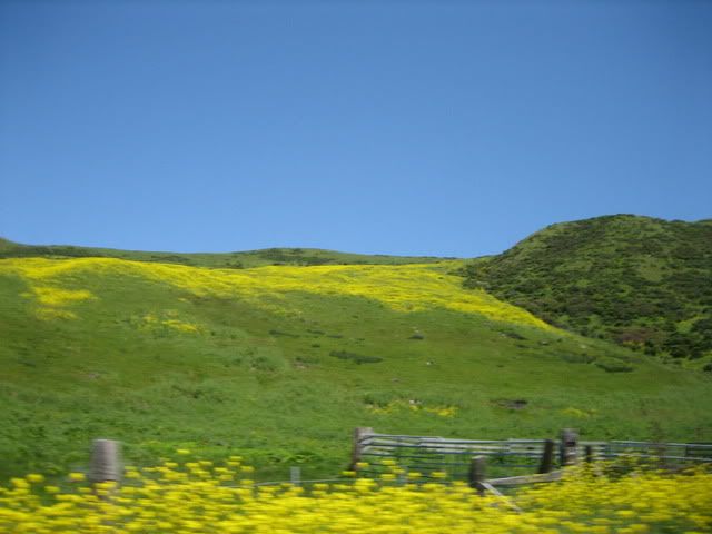 TrinityAlps2010033.jpg