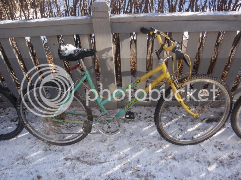 freebikes035.jpg