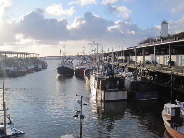 North_Shields_Fish_Quay_-_geograph.org.uk_-_1651356.jpg