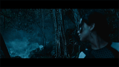 hunger-games-catching-fire-fog-gif.gif