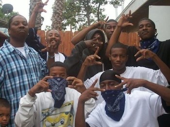 gangs-in-black-america.jpg