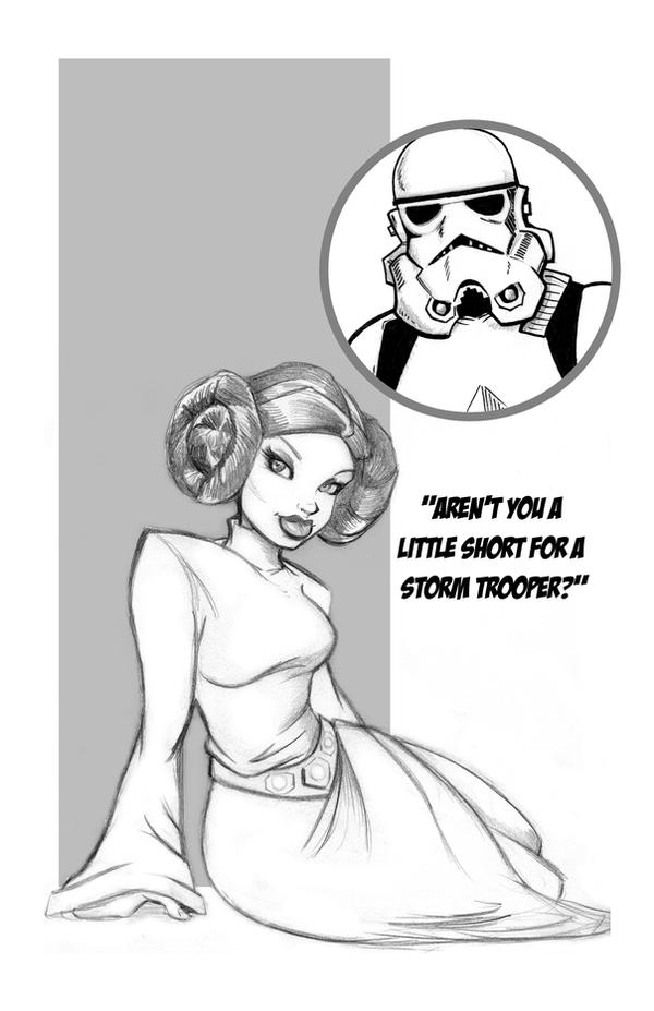 Princess_Leia_and_Stormtrooper_by_1nch.jpg