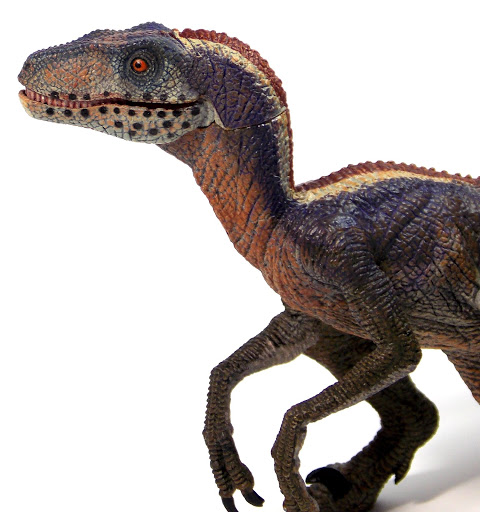 PAPO%252520TYRANNOSAURUS%252520%252526%252520VELOCIRAPTOR%252520EXCLUSIVE%252520277.JPG