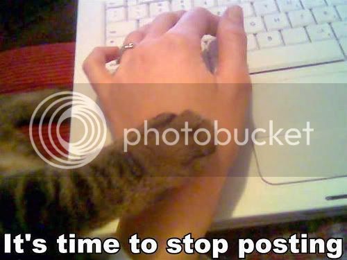 its-time-to-stop-posting-cat-cats-kitten-kitty-pic-picture-funny-lolcat-cute-fun-lovely-photo-images1.jpg