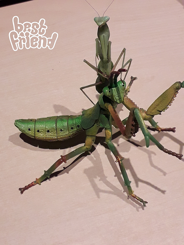 aurene-mantis.png