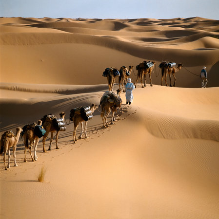 Desert+Caravan+%2833%29.JPG