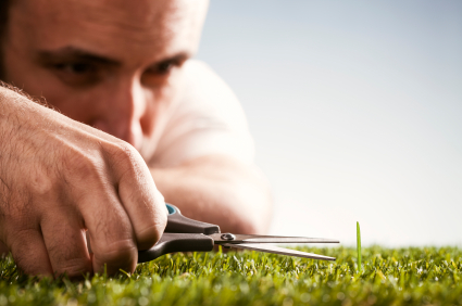 Perfectionist-Cutting-Grass.jpg