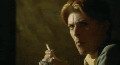 bowie.gif