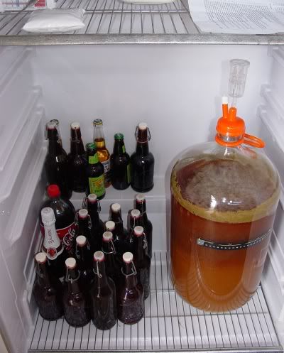 beer_fridge.jpg