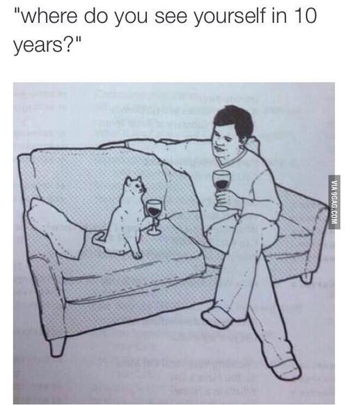 black-twitter-where-do-you-see-yourself-in-10-years-cat-sitting-on-couch-drinking-wine-14231836910.jpg