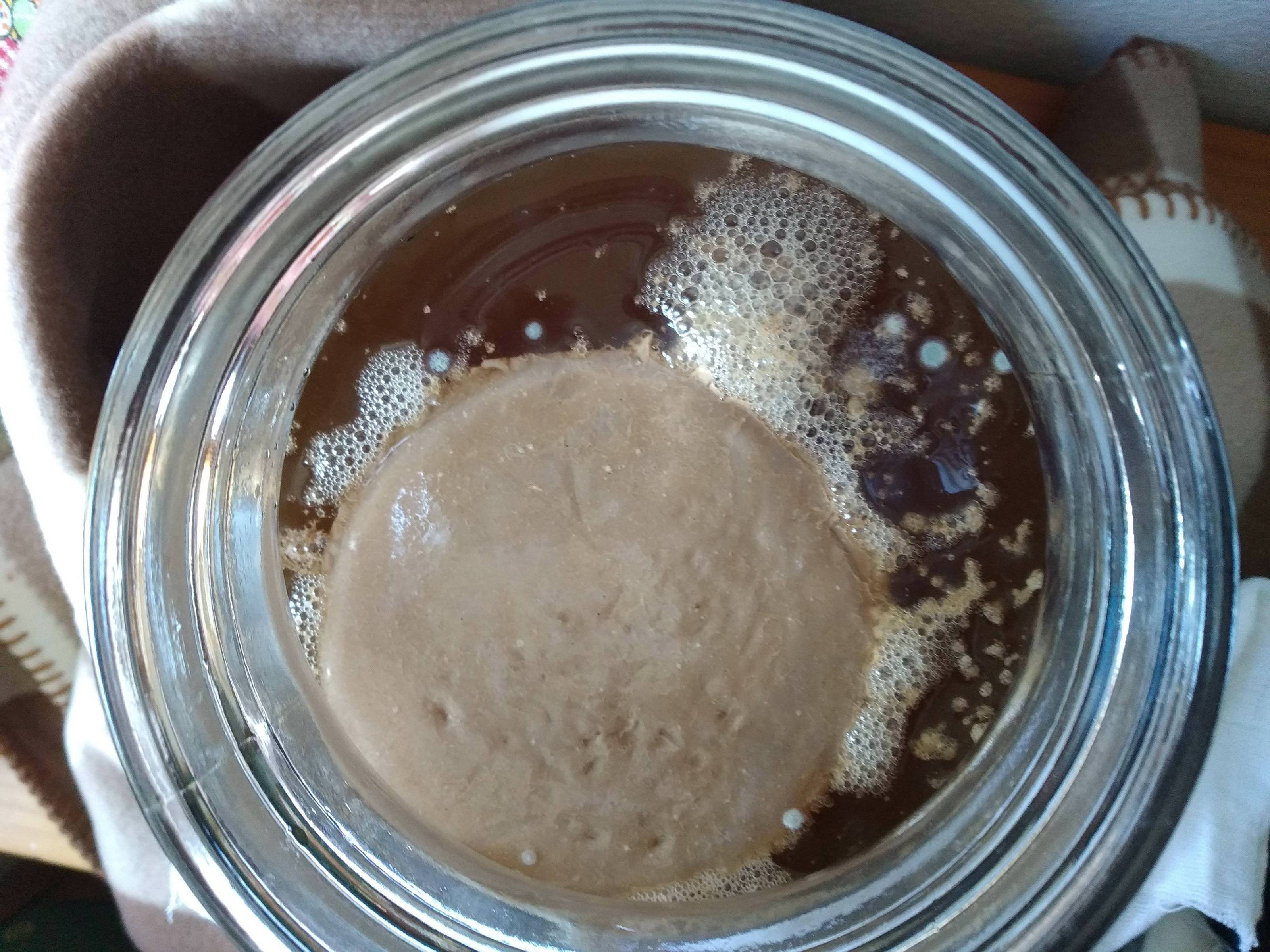 What SCOBY Mold Looks Like and How to Prevent it