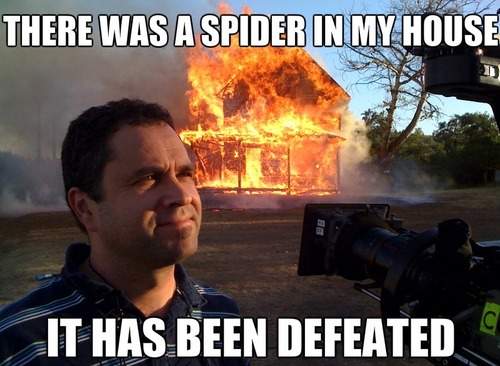 there_was_a_spider_in_my_house_it_has_been_defeated_2013-08-14.jpg