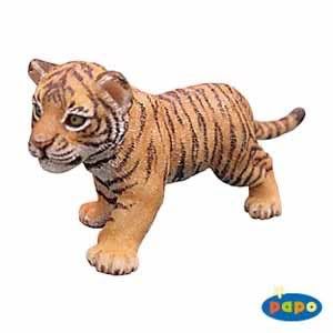 PapoTigerCub50021.jpg