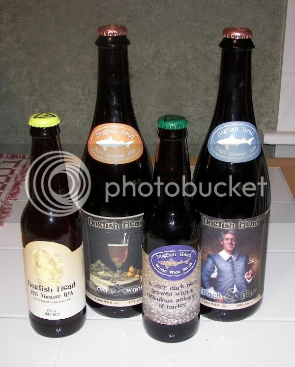 DogfishCollection.jpg