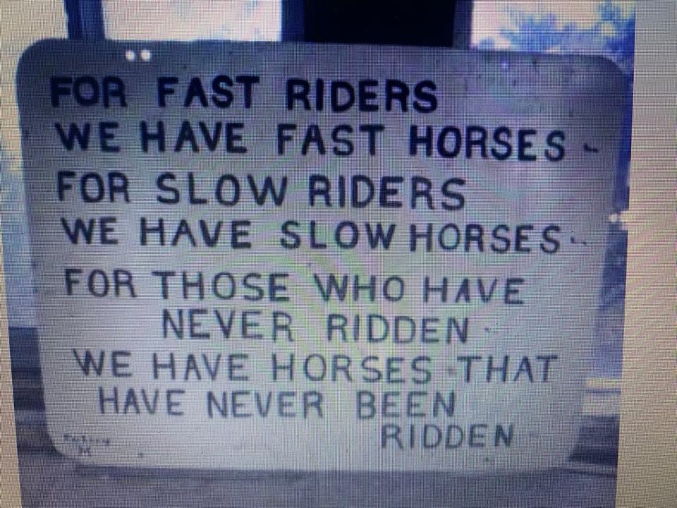 r/funny - The right horse for any level of rider.