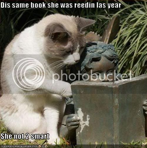 funny-pictures-cat-thinks-statue-is.jpg