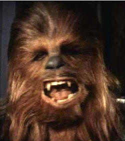 chewbacca.lg.jpg