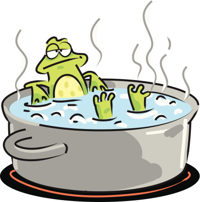 frog-in-boiling-water.jpg