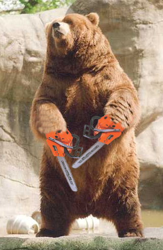 chainsaw-bear-hijinks-07011292.jpg