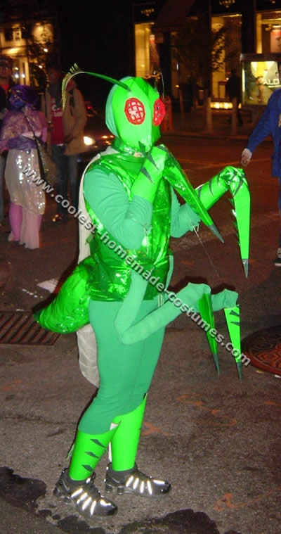 insect-costume-01.jpg