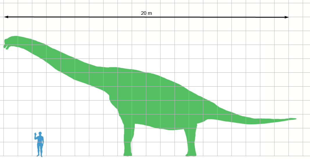 Brachiosaurus_scale.png