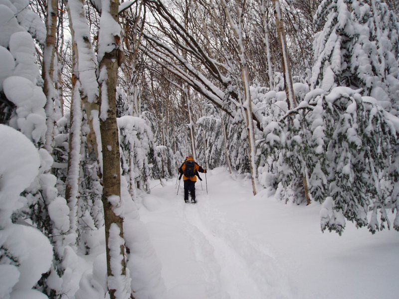 entering the ski trail-800.jpg