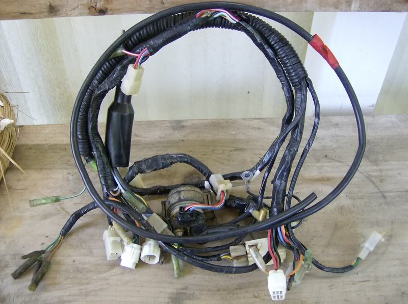 1996harness004.jpg