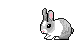 rabbit2.gif