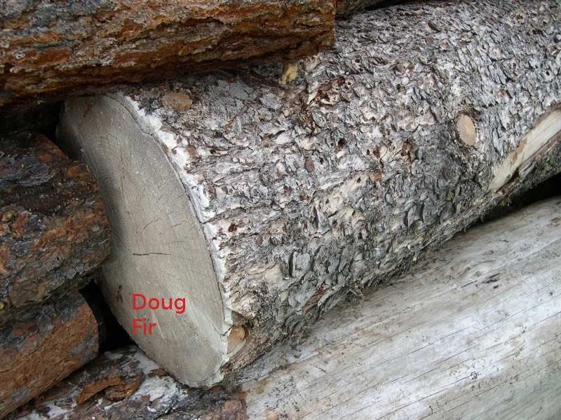 Douglas Fir Firewood - How Does Douglas Fir Firewood Burn?