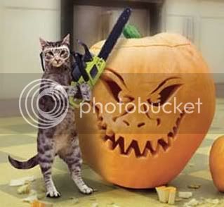 Halloween-cat-dog.jpg