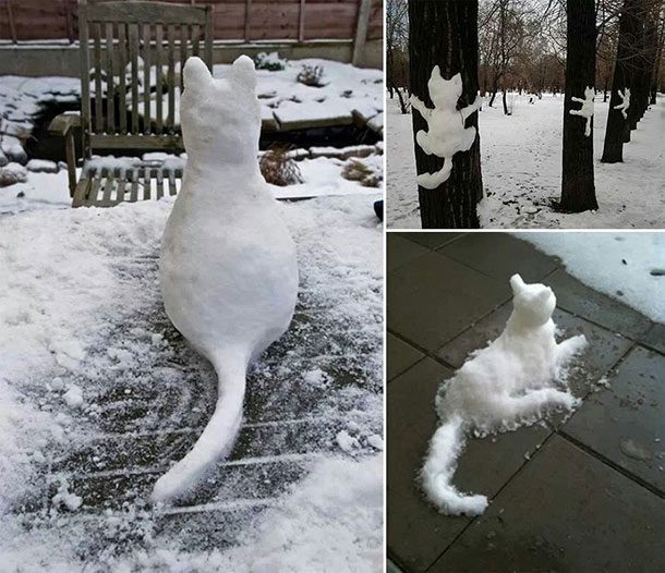 snowcat-610x526.jpg
