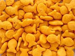 goldfish.jpg