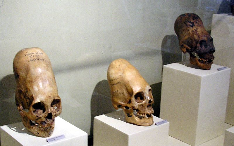 800px-ParacasSkullsIcaMuseum.jpg