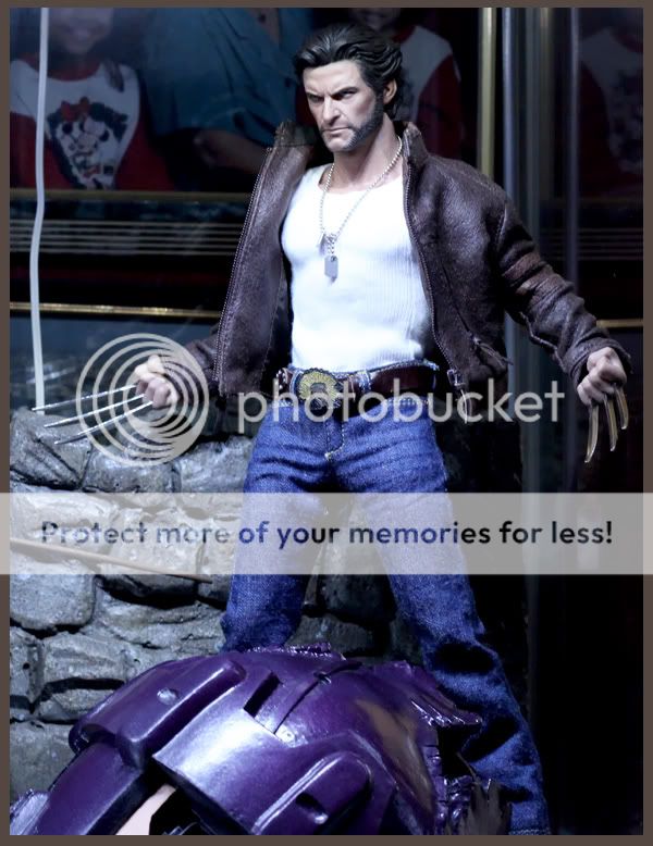 Wolverine.jpg