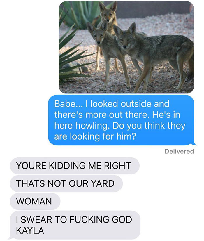 Husband-Freaks-Out-After-His-Wife-Texts-Him-She-Brought-A-Dog-Home-While-The-Pic-Shows-Its-Coyote-5842a601a5fd2__700.jpg
