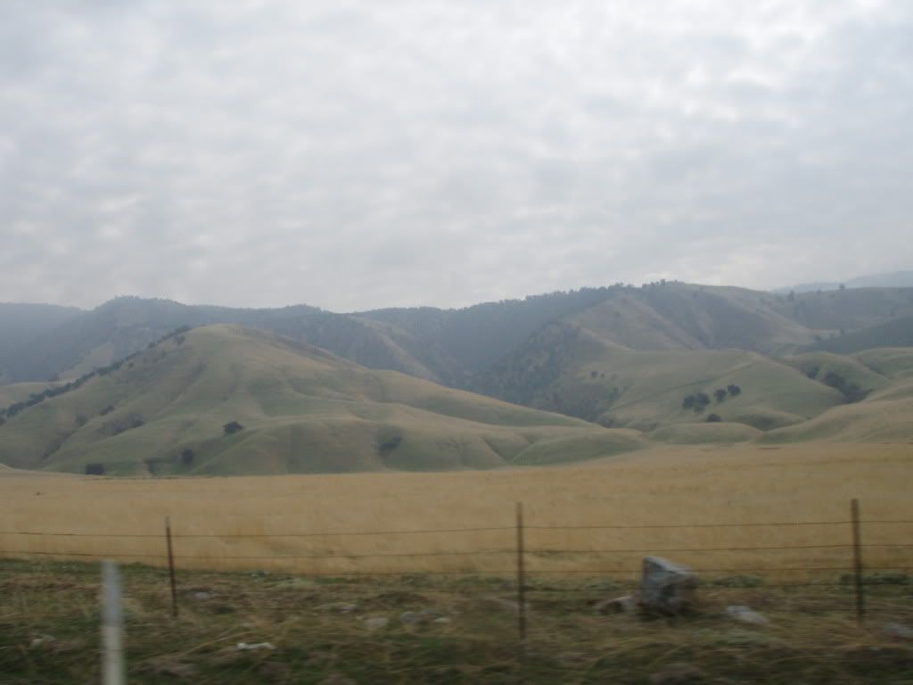 PA250105.jpg