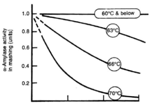 Alpha_amylase_activity.gif