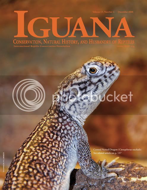 Iguana_Cover_Dec.jpg