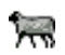 emoticon+sheep.jpg