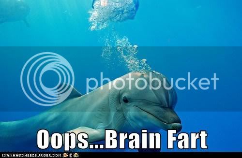 funny-animal-captions-animal-capshunz-dumb-moment-dolphin.jpg