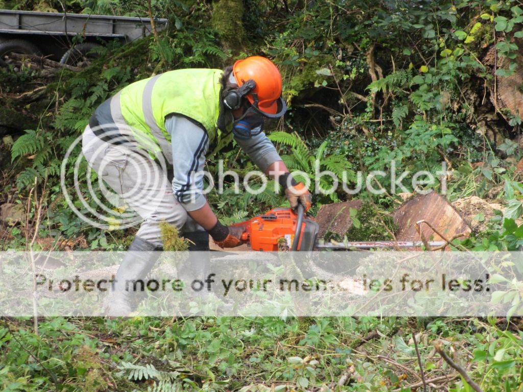 autumupdates2012arborist024.jpg