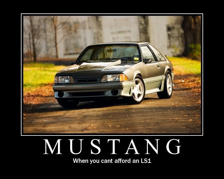 mustang.jpg