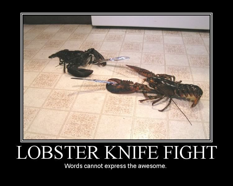 lobsterknifefightawesome1.jpg