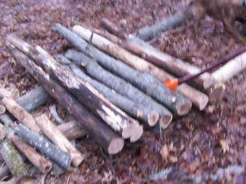 logpile.jpg